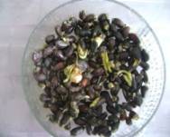 C:\Users\�������\Documents\��������� ����\���������� �����������\�����������\���� ������\DSC09557.JPG