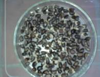 C:\Users\�������\Documents\��������� ����\���������� �����������\�����������\���� ������\����-0031.jpg