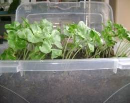 C:\Users\�������\Documents\��������� ����\���������� �����������\�����������\���� ������\DSC09534.JPG