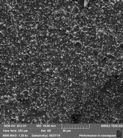 C:\�ר��\�������\������������ �����\������������\������\��������\27-05-15\����������� ��� ���������.png