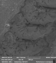 D:\�������\�����\������������\������������\15-06-2015 ������\14\2-1.png