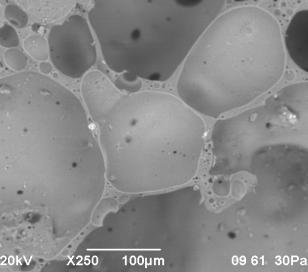 D:\����\1������� ��25 850\rudn-1 - 16.bmp