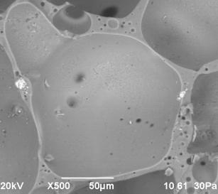 D:\����\1������� ��25 850\rudn-1 - 17.bmp