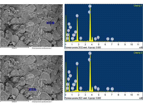 ��������: C:\Users\User\Desktop\�������2.png