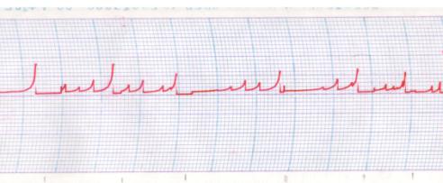 ������������_������2