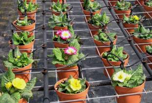 Системы орошения для дачной теплицы. - Системы орошения. КОМПЛЕКТЫ. - FARMGARDEN ФОРУМ