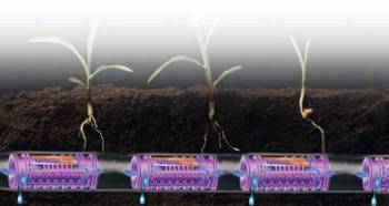 Системы Полива В Теплицах