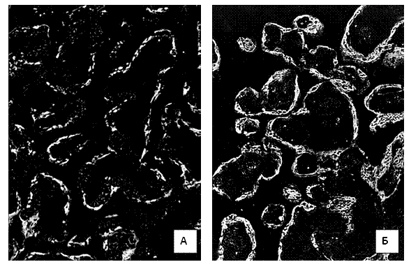 �������:  