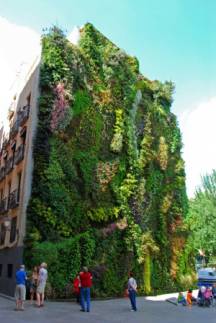 http://files2.adme.ru/files/news/part_51/513355/300355-R3L8T8D-600-VerticalgardeninMadridSpainbygardendesignerPatrickBlanc.jpg