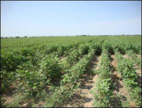 �����������21