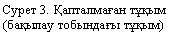 �������: ����� 3. Қ�������ғ�� �ұқ�� 
(��қ���� �������ғ� �ұқ��)
