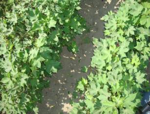 �����������21