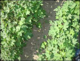 �����������21