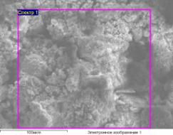 ��������� ����� ��_0