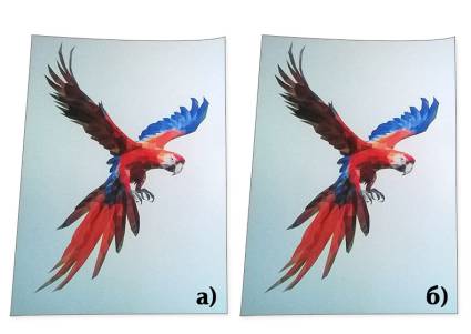 WP_20150520_003 2.jpg