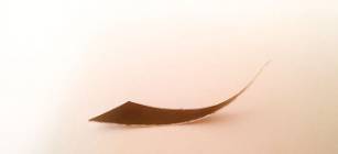 WP_20150528_005 2.jpg