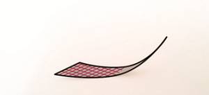 WP_20150528_005 3.jpg