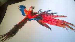 WP_20150526_002 2.jpg