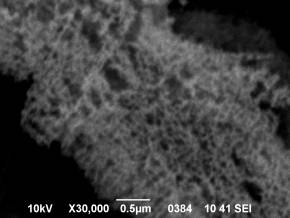 D:\���\����������������� ����������\19.10.10\obr10_InP_x30000SEI-4.bmp