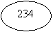����: 234