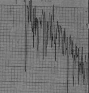 ��������: G:\�����\�����������\����������\������������\4---.jpg