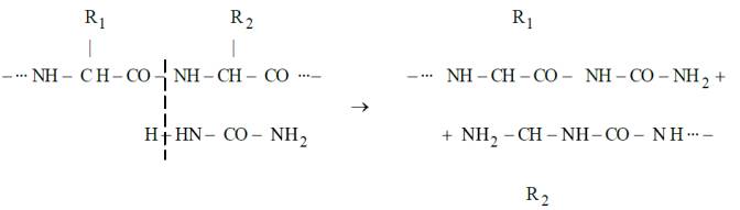 C:\Documents and Settings\Администратор\Рабочий стол\thththttth.jpg
