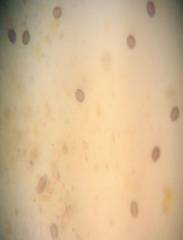 : : C:\Users\user\Desktop\IMG_20131105_133124.jpg