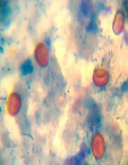 : : C:\Users\user\Desktop\IMG_20131105_134231.jpg