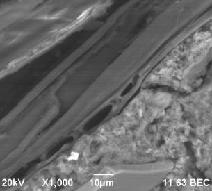 D:\���������\������������\�����\��� � 2012\������ 2015\������ 2015.09\������ 2015.09\2015\15����-����1-����-���\rudn-15 - 11.bmp