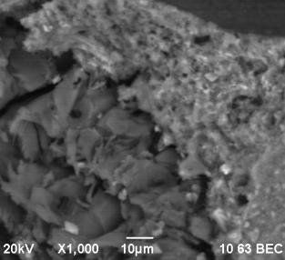 D:\���������\������������\�����\��� � 2012\������ 2015\������ 2015.09\������ 2015.09\2015\17����- ����7-����-���\rudn-17 - 5.bmp