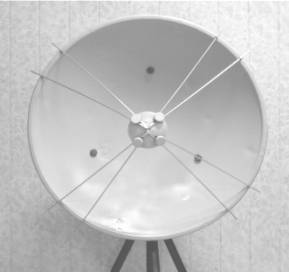 ����%20�����%20����%20007