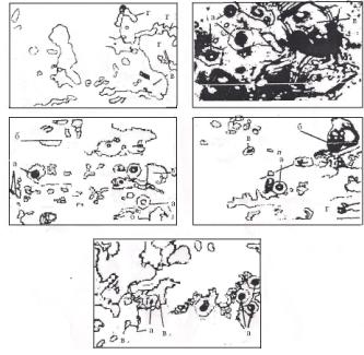 ��������: Pyazbashi