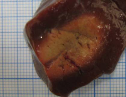 1 ������