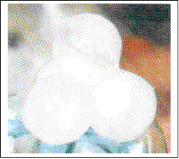 �������:  