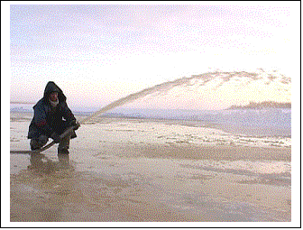 �������:  