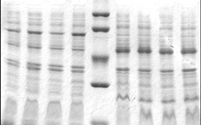 C:\Users\1\Desktop\������\����������� ���������� ���� � ����.jpg