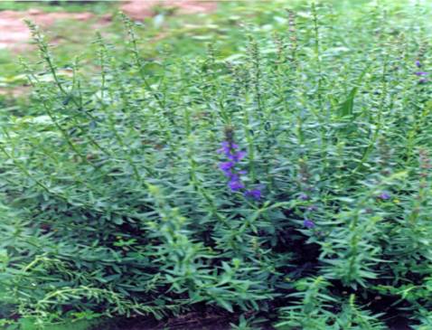 E:\Новая папка\Новая папка\05.jpg