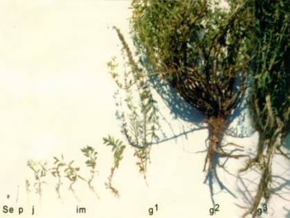 E:\Новая папка\Новая папка\06.jpg