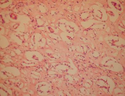 ����� �� �200 ���� ��������� ������ ��������� ����