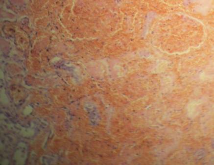 ����� � �������� 6