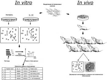 ��������: Macintosh HD:Users:mac:Desktop:441.full.jpg