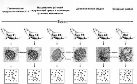 ��������: Macintosh HD:Users:mac:Desktop:442.full 2.jpg