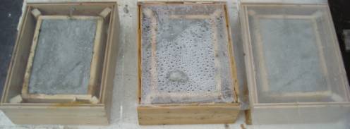 C:\Users\����\Desktop\����� �����\�����\DSC06268.JPG