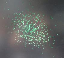 C:\Users\User\Desktop\����\����� ������\DSCF4966.JPG