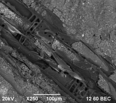 C:\Users\����\Desktop\���-2014\17 2001� ����\rii - 17 - 6.bmp