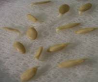 C:\Users\Юленька\Desktop\ПНИЛПМ и ПП\диплом\сад и огород\100_1911.JPG