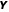 Y