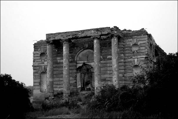 ������� �����feed_photo.jpg