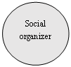 Овал: Social organizer