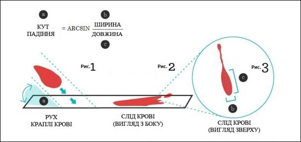 ��� �������.jpg